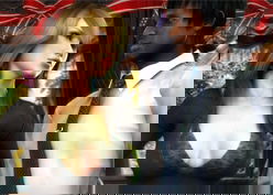 Alice – Erection Race